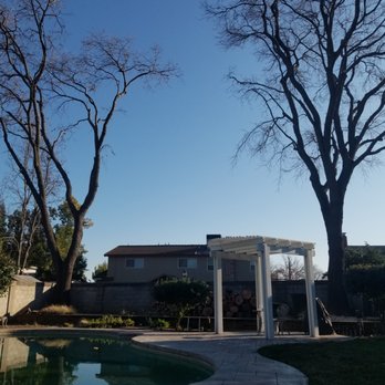 Urban Tree Care - Great service and hard workers. - Tree Services Near Me Urban Tree Care - Great service and hard workers. - Tree Services Near Me