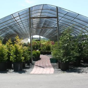 McAuliffe's Valley Nursery - Nurseries & Gardening Near Me - Snohomish, Washington McAuliffe's Valley Nursery - Nurseries & Gardening Near Me - Snohomish, Washington
