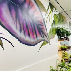 Peace Lily