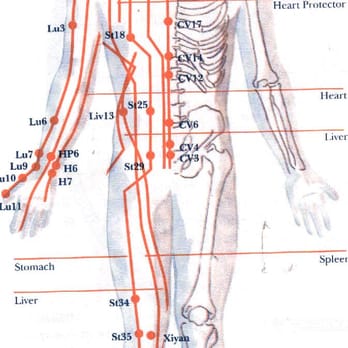 Chi Spa -
Acupuncture is a healing art practiced for thousands of years in China. It is an important component of Traditional Chi... - Acupuncture Near Me - Eugene, Oregon Chi Spa -
Acupuncture is a healing art practiced for thousands of years in China. It is an important component of Traditional Chi... - Acupuncture Near Me - Eugene, Oregon