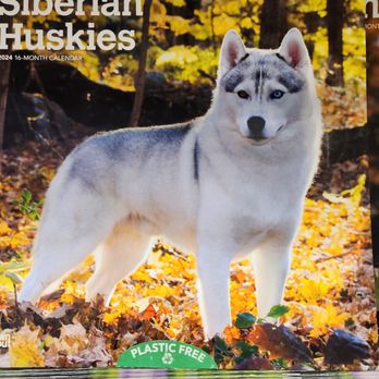 GO! CALENDARS, TOYS & GAMES - Updated April 2024 - 21 Photos - 10000 California St, Omaha, Nebraska - Gift Shops - Phone Number - Yelp