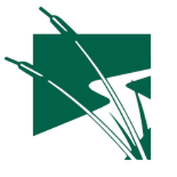 Marsh Landing Behavioral Group