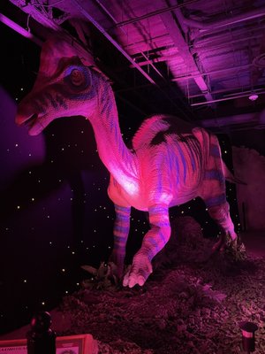 DINO SAFARI - Updated August 2025 - 14 Photos - 849 E Commerce St, San