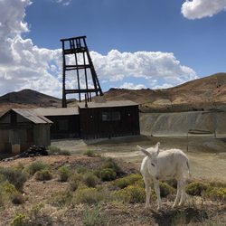 Goldfield Visitor Center - Honey, at the historic Rustler #2 Mine.
