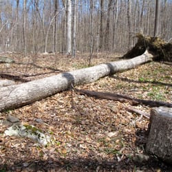 Black River County Park