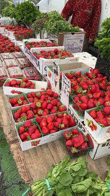 Farmers Market - Wednesday/Saturday Downtown Santa Monica by null