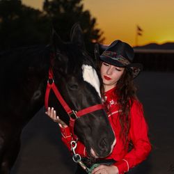 Sandy Valley Ranch - Beautiful horses