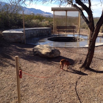Roper Lake State Park - Post at the tub allows you to tie up the pup so you can enjoy the waters - RV Parks Near Me - Safford, Arizona Roper Lake State Park - Post at the tub allows you to tie up the pup so you can enjoy the waters - RV Parks Near Me - Safford, Arizona