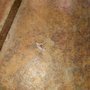 Mcintosh Home Inspection