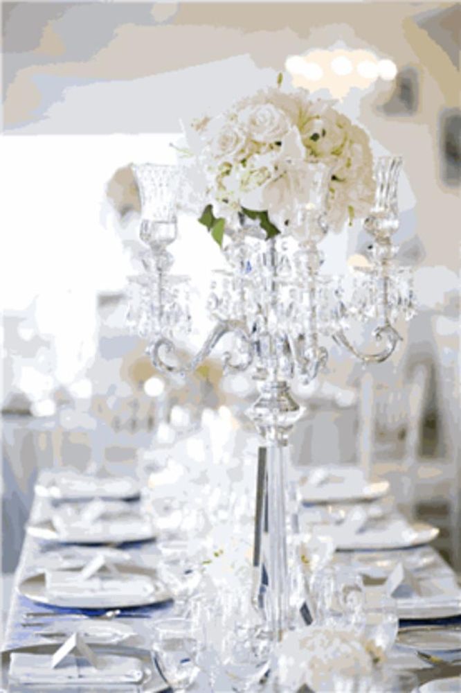 FOXGLOVES FLOWERS Updated August 2024 98 Photos 2825 Heath Drive