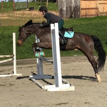 Legacy Farm - Caponè and Anna - Horseback Riding Near Me - Brentwood, California