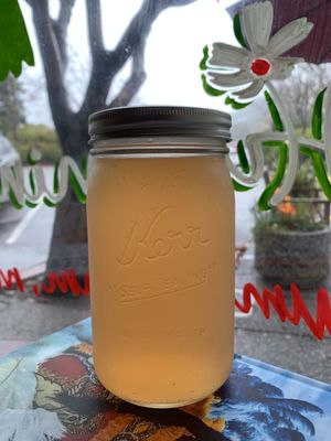 The Hummingbird by null