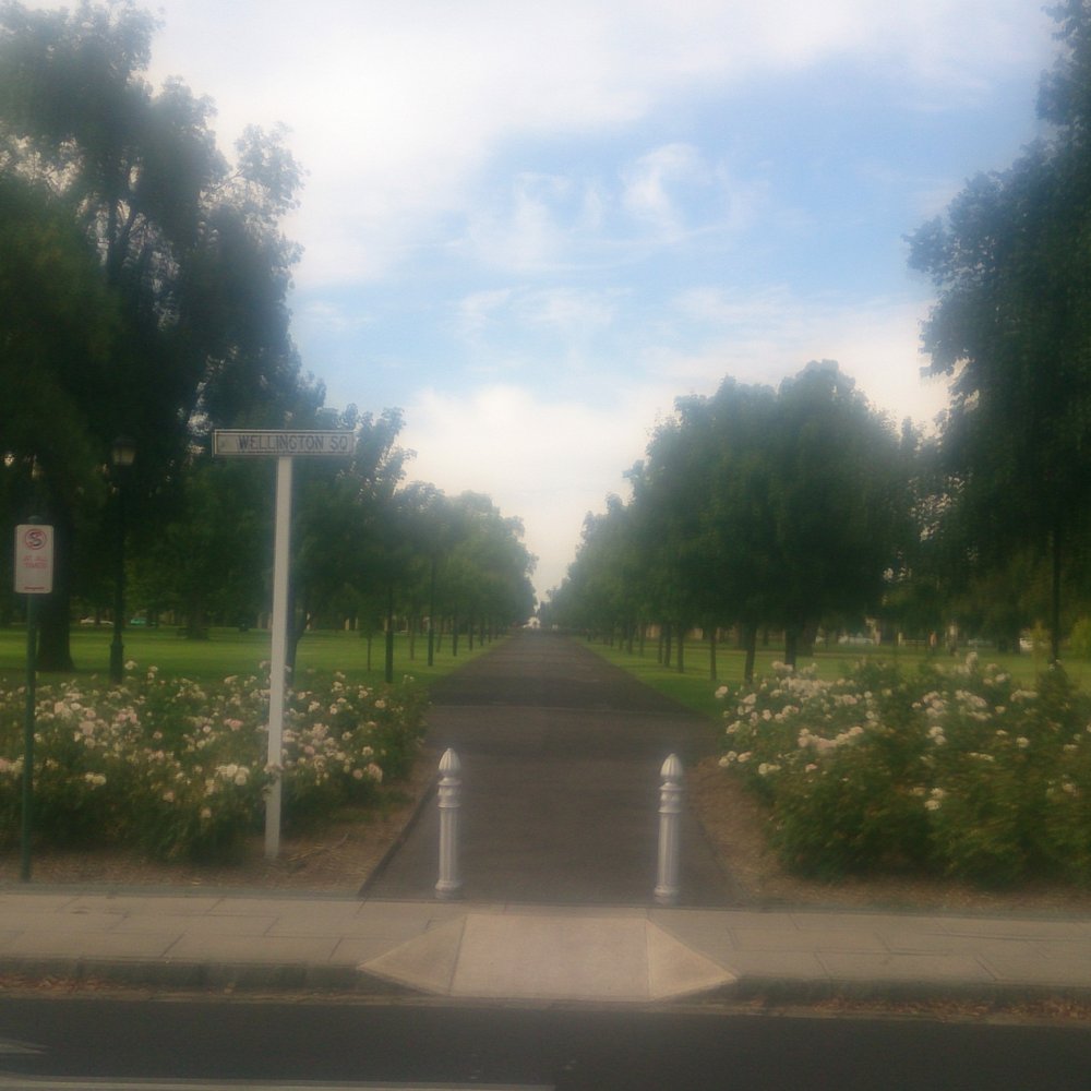 Wellington Square - Parks Near Me - North Adelaide, SA