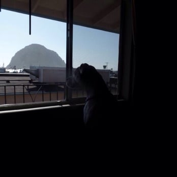Bayfront Inn - Enjoying the view - Hotels Near Me - Morro Bay, California