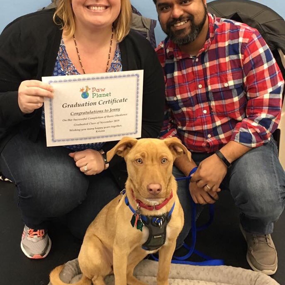 Paw Planet - Paw Planet Basic Obedience graduation! - Pet Stores Near Me - Whitinsville, Massachusetts Paw Planet - Paw Planet Basic Obedience graduation! - Pet Stores Near Me - Whitinsville, Massachusetts