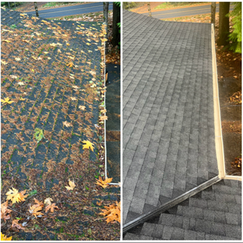 AAA -1 Roof Care - Composition Roof Cleaning Before and After - Roofing Near Me - Woodinville, Washington AAA -1 Roof Care - Composition Roof Cleaning Before and After - Roofing Near Me - Woodinville, Washington
