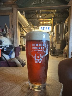 Denton County Brewing Company by null