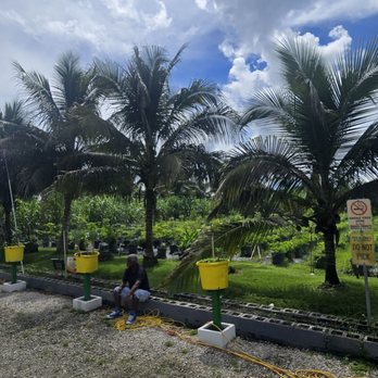Farm Vibes - Farmers Market Near Me - Boynton Beach, Florida Farm Vibes - Farmers Market Near Me - Boynton Beach, Florida
