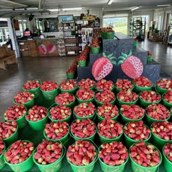 Knob Creek Orchard & Creamery - Strawberry season