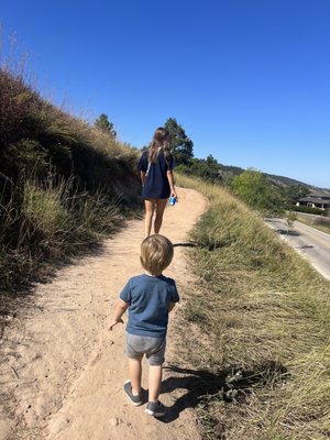 Dinosaur Park by null