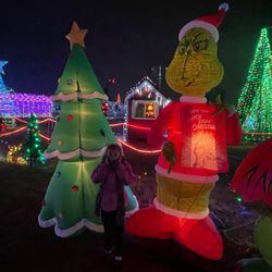 Waterman's Winter Wonderland Festival & Light Show