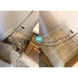 Leave your home cleaning to professionals
