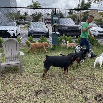 Barkyard n' Brews - Dog Parks Near Me - Fort Lauderdale, Florida