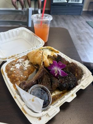 The Bayou Affect by null