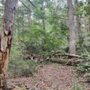 Caledonia State Park