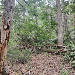 Caledonia State Park