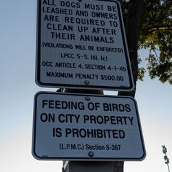 Clean up after your dogs!