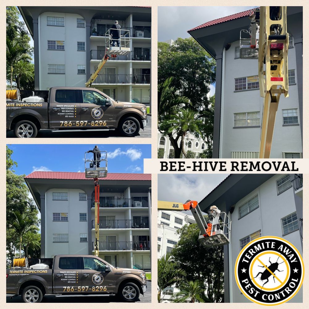 TERMITE AWAY PEST CONTROL Updated July 2025 Kendall, Florida Pest