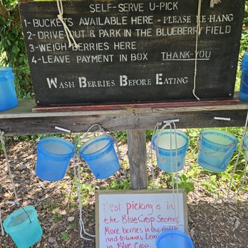 Bisacky Blueberry Farm - Berry pails - Pick Your Own Farms Near Me - Spring Lake, Michigan