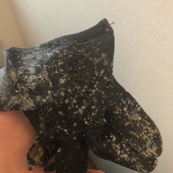 Chandler Property Management - Mold everywhere - Property Management Near Me - San Francisco, California Chandler Property Management - Mold everywhere - Property Management Near Me - San Francisco, California