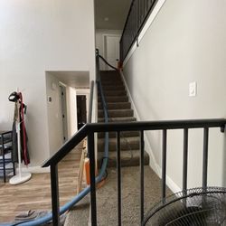 Cj's Recommended Carpet Care