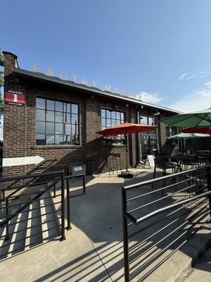 Frothy Monkey by null