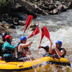 A1 Wildwater Rafting - Grab your paddle and hold on tight! The rapids won't know what hit 'em, and neither will you. Time to make some epic memories. who's in?