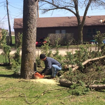 Southern Oaks Tree & Crane Service - Quickly taking down the tree - Tree Services Near Me Southern Oaks Tree & Crane Service - Quickly taking down the tree - Tree Services Near Me