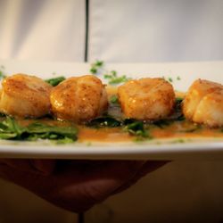 Cafe Mezzanotte - Pan Seared Scallops