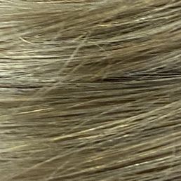 a closeup of the hair of a woman