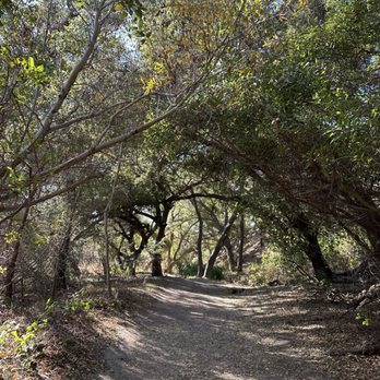 Whiting Ranch Wilderness Park - Parks Near Me - Foothill Ranch, California Whiting Ranch Wilderness Park - Parks Near Me - Foothill Ranch, California