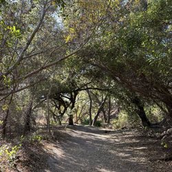 Whiting Ranch Wilderness Park