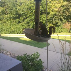 Alegent Health Hospice House - The view out of my mom's window (room 26)