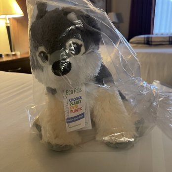 Gray Wolf Inn & Suites - Adorable stuffie they leave ( extra $25 charge to your room ) - Hotels Near Me - West Yellowstone, Montana