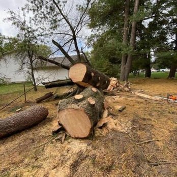 Elite Tree Management - Tree Services Near Me - Portage, Indiana Elite Tree Management - Tree Services Near Me - Portage, Indiana