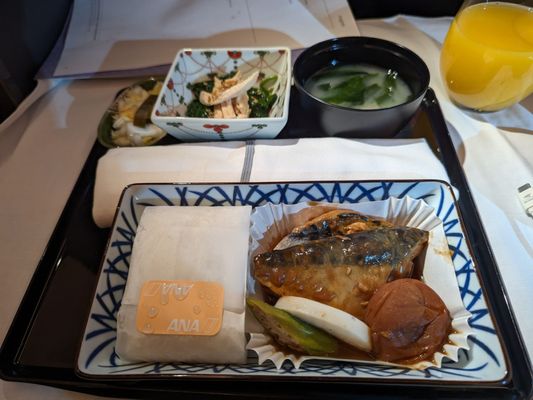 ANA (All Nippon Airways) by null