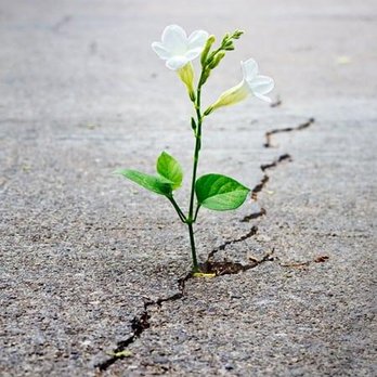 Ignite Psychotherapy - Counseling & Mental Health Near Me - Kenosha, Wisconsin Ignite Psychotherapy - Counseling & Mental Health Near Me - Kenosha, Wisconsin