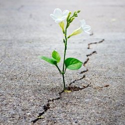 Ignite Psychotherapy
