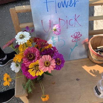 Cherry Hill Farms - U-Pick flowers - Fruits & Veggies Near Me - Caldwell, Idaho Cherry Hill Farms - U-Pick flowers - Fruits & Veggies Near Me - Caldwell, Idaho