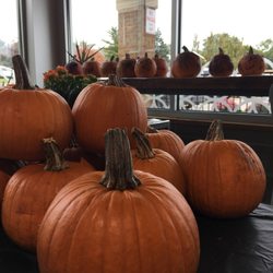 Kids pumpkin painting contest